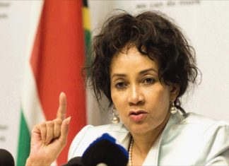 Lindiwe Sisulu urges SA to stand against xenophobia