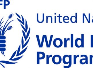 Zambia: World Food Programme supports urban Zambians hit by COVID-19
