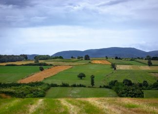 What the New Expropriation Act Means for Everyday South Africans and Landowners