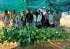 IPYG and HWPL Mark International Youth Day Through Peace My Namibia School Garden Initiative